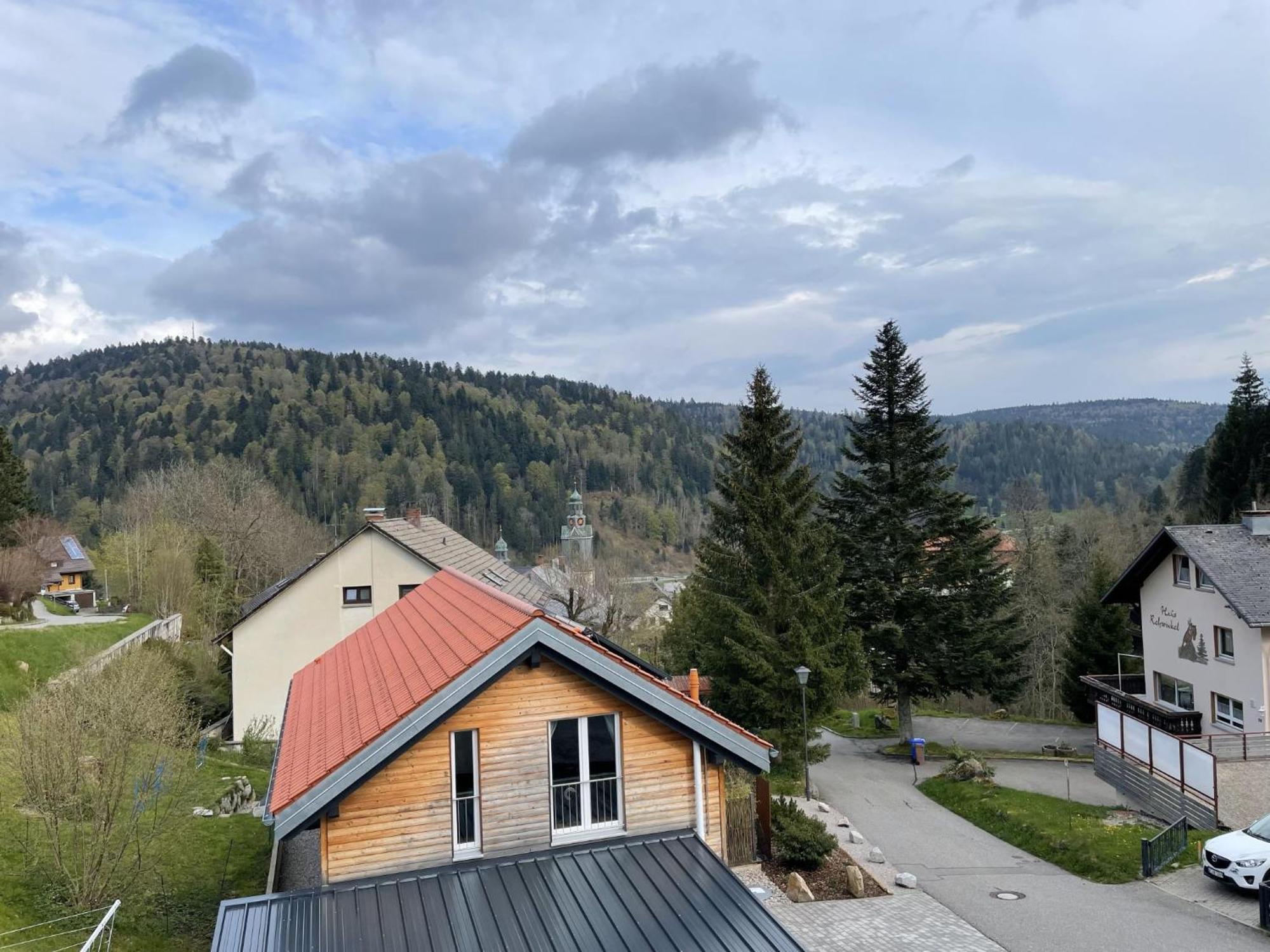 Traumferienwohnung Todtmoos - Appartment Mit Schoenem Wintergarten ภายนอก รูปภาพ